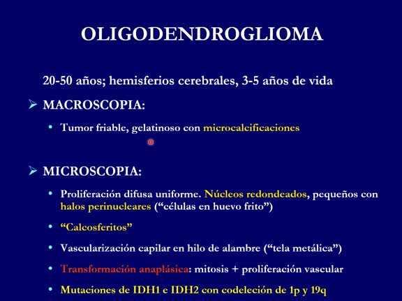 Seminario 6. SNC (1,5h)
