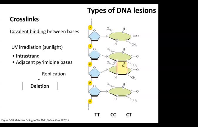 GMT20241128-070459_Recording_1600x1024