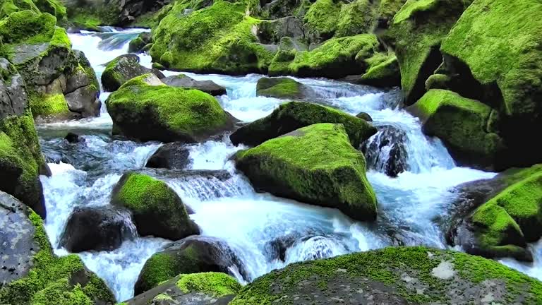 Río bucólico