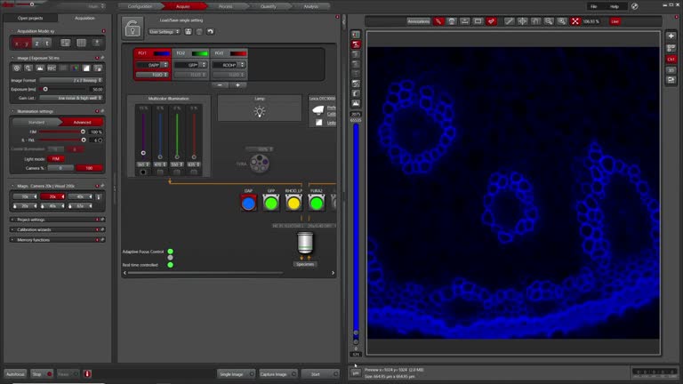 Configuración básica widefield DMI8