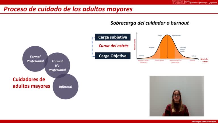 Resumen BT3 - Psicología del ciclo vital 2